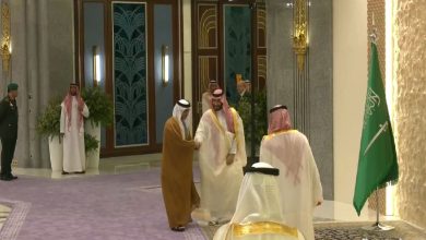 صورة بالفيديو.. ولي العهد يستقبل قادة الدول ورؤساء الوفود المشاركة في قمة جدة
