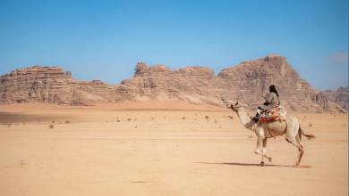 صورة صحراء حسمى.. مشاهد من ‏جمال الطبيعة الخلابة