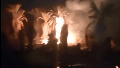 صورة بالفيديو .. صاعقة تضرب مزرعة نخيل والدفاع المدني يدعو للحيطة والحذر