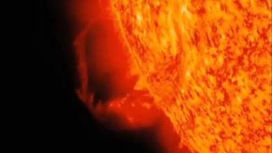 صورة العاصفة الشمسية تقترب من الأرض.. هل تزيد وفيات البشر في ذلك اليوم؟