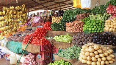 صورة انخفاض الملوخية والخيار.. أسعار الخضروات والفاكهة اليوم في سوق العبور
