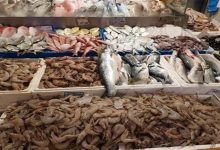صورة 75 جنيها لكيلو البلطي.. أسعار السمك والمأكولات البحرية اليوم الأحد