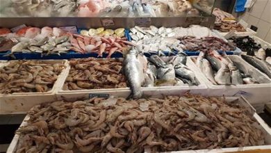 صورة ارتفاع السبيط والكابوريا.. أسعار السمك في سوق العبور اليوم الأحد