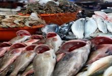 صورة أسعار السمك والمأكولات البحرية في سوق العبور اليوم الجمعة (موقع وسمي)