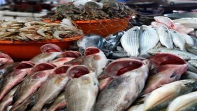 صورة انخفاض أسعار السمك البلطي والجمبري وارتفاع المكرونة بسوق العبور اليوم