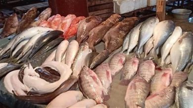 صورة أسعار الأسماك والمأكولات البحرية بسوق العبور اليوم الثلاثاء