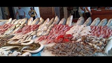 صورة أسعار الأسماك والمأكولات البحرية اليوم في سوق العبور