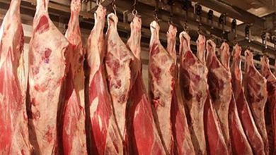 صورة تراجع أسعار اللحوم والفول والزيت وزيادة الجبن والمسلى بالأسواق (موقع رسمي)