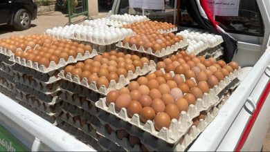 صورة أسعار البيض اليوم الاثنين في المزرعة