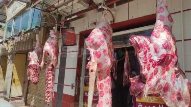 صورة الكيلو تخطى 400 جنيه.. لماذا ترتفع أسعار اللحوم في الأسواق بمصر؟