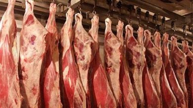 صورة بسبب أسعار اللحوم.. توقعات بزيادة الإقبال على الدواجن قبل عيد الأضحى