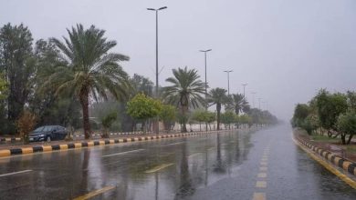 صورة «الأرصاد»: استمرار هطول أمطار رعدية متوسطة إلى غزيرة على 4 مناطق  أخبار السعودية