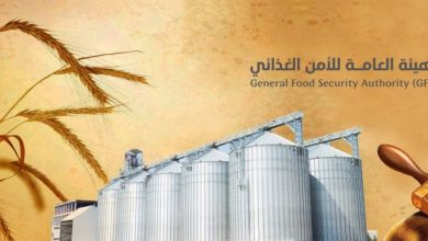 صورة صرف مستحقات الدفعة الثانية لمزارعي القمح المحلي  أخبار السعودية