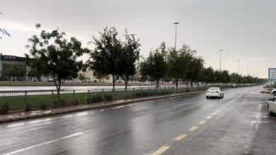 صورة المدينة: توقعات بهطول أمطار خفيفة إلى متوسطة خلال الإجازة المطولة  أخبار السعودية