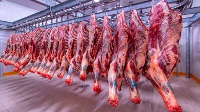 صورة رفع الحظر المفروض على استيراد اللحوم من أوغندا