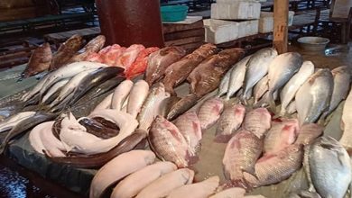 صورة أسعار السمك والمأكولات البحرية في سوق العبور اليوم السبت
