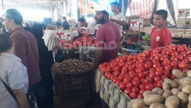 صورة ارتفاع أسعار الطماطم والبطاطس بالأسواق.. والشعبة توضح السبب