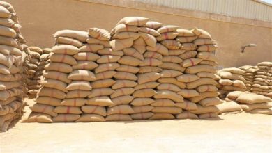 صورة صناعة الحبوب: مخزون القمح يكفي لمدة تتجاوز 6 أشهر لدى وزارة التموين