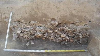 صورة اكتشاف مقبرة جماعية لضحايا خرافة مصاصي الدماء.. لن تتوقع ما وجده الباحثون