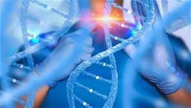صورة العلاج الجيني الجديد لمرض الخلايا المنجلية يُظهر نتائج أولية إيجابية