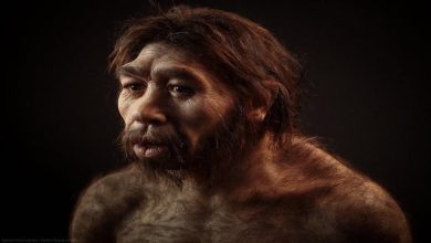 صورة اكتشاف مفزع.. أول دليل دامغ على أن أجداد البشر كانوا يأكلون بعضهم