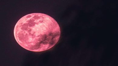 صورة قمر الفراولة.. ظاهرة فلكية ساحرة في سماء العالم