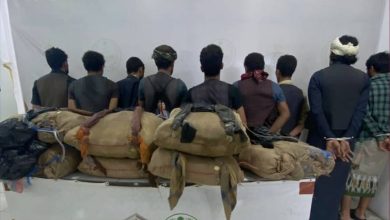 صورة شرطة الدائر تقبض على 9 أشخاص لترويجهم نبات القات المخدر  أخبار السعودية