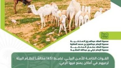 صورة الأمن البيئي تضبط 45 مخالفا لنظام البيئة لارتكابهم مخالفات رعي  أخبار السعودية