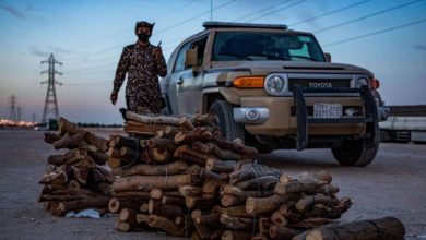صورة ضبط مخالفين لنظام البيئة لقطعهم الأشجار في منطقة الرياض