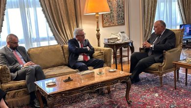 صورة وزير الخارجية المصري يبحث “الاقتحامات الإسرائيلية” مع وينسلاند