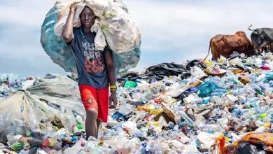 صورة الأمم المتحدة تدعو لوضع حد لـ”كارثة” التلوث البلاستيكي