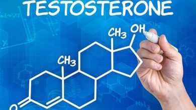 صورة أطعمة تساعد على زيادة هرمون التستوستيرون في جسمك