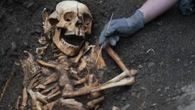 صورة لن تتوقع.. هذا ما وجده باحثون في مقبرة عمرها 1000 عام بالمملكة المتحدة