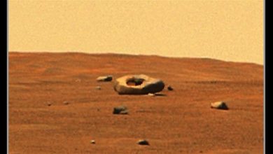 صورة صورة غريبة.. صخرة على شكل كعكة دونتس على سطح المريخ