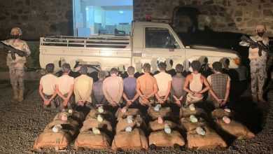صورة القبض على 11 مخالفًا لنظام أمن الحدود لتهريبهم نبات القات المخدر  أخبار السعودية