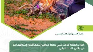 صورة «الأمن البيئي» تضبط 6 مُخالفين لنظام البيئة لإشعالهم النار في أراضي الغطاء النباتي  أخبار السعودية
