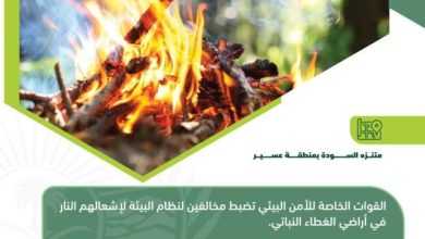 صورة «الأمن البيئي» تضبط 26 مُخالفاً لنظام البيئة لإشعالهم النار في أراضي الغطاء النباتي  أخبار السعودية