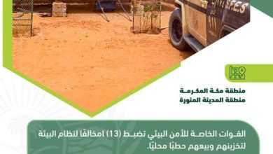 صورة «قوات الأمن البيئي» تضبط 13 مخالفاً لنظام البيئة لبيعهم وتخزينهم حطباً محلياً  أخبار السعودية