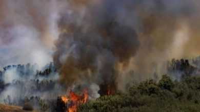 صورة الاحتلال يحرق أراضي في برقة شرق رام الله