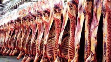 صورة تراجع جديد في أسعار اللحوم الحمراء بالأسواق (موقع رسمي)