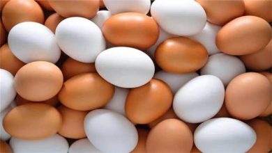 صورة “الإكثار له تأثير سلبي.. كم بيضة يجب تناولها في اليوم؟