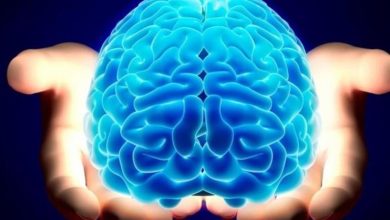 صورة دراسة تكشف ما تأثير العلاج بالروائح على الذاكرة.. “نتيجة مذهلة”