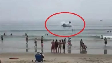 صورة لحظات رعب.. تحطم طائرة على شاطئ مزدحم في أمريكا (فيديو)