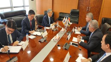 صورة التنمية الصناعية: فرص واعدة للتعاون المشترك بين مصر وكوريا الجنوبية
