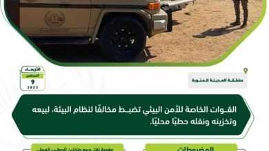 صورة «قوات الأمن البيئي» تضبط مخالفاً لنظام البيئة لبيعه وتخزينه ونقله حطباً محلياً بالمدينة المنورة  أخبار السعودية