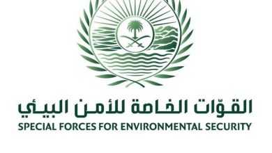 صورة ضبط 10 مخالفين لنظام البيئة لنقلهم وبيعهم وتخزينهم حطباً وفحماً محليين  أخبار السعودية