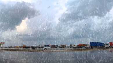 صورة طقس الثلاثاء.. أمطار رعدية ورياح مثيرة للأتربة على عدة مناطق بالمملكةفريق