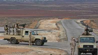 صورة قادمة عبر الأراضي السورية.. الأردن يحبط محاولة تهريب كمية من المخدرات