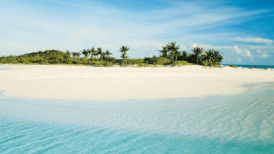 صورة «جزيرة بياضة.. مالديف جدة» تجربة سياحية لعشاق المياه الفيروزية