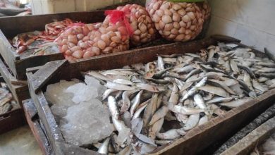 صورة أسعار الأسماك والمأكولات البحرية في سوق العبور الاثنين